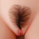 Pubic Hair   $50.00 