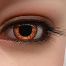 Implant Eyelash 
